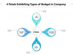 4 petals exhibiting types of budget in company