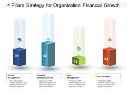 4 pillars strategy for organization financial growth