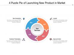 4 puzzle pie of launching new product in market
