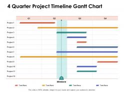 4 quarter project timeline gantt chart ppt powerpoint presentation portfolio outfit