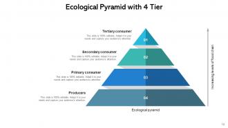 4 Tier Strategy Management Process Pyramid Consumer Organizational Hierarchy
