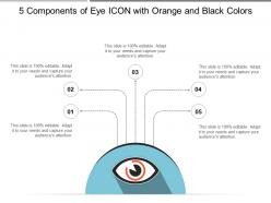 5 components of eye icon with orange and black colors