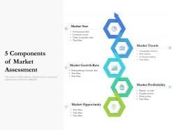 5 components of market assessment