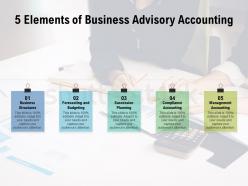 5 elements of business advisory accounting