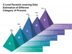5 level pyramid covering data estimation of different category of proces