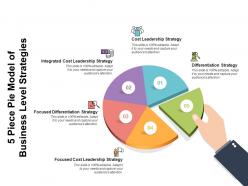 5 piece pie model of business level strategies