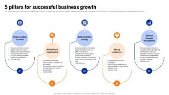 5 Pillars For Successful Business Growth