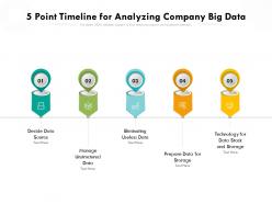 5 Point Timeline For Analyzing Company Big Data