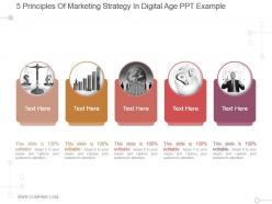 5 principles of marketing strategy in digital age ppt example