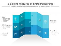 5 salient features of entrepreneurship