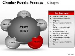 5 Stages Circular Diagram Puzzle Process 5