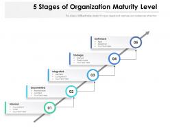 5 stages of organization maturity level
