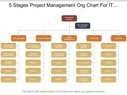 5 stages project management org chart for it company