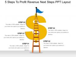 5 steps to profit revenue next steps ppt layout