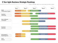 5 year agile business strategic roadmap