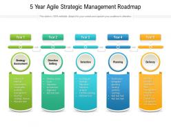5 year agile strategic management roadmap