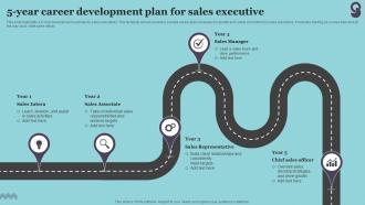 5 Year Career Development Plan For Sales Executive