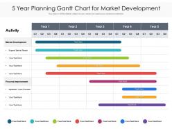 5 year planning gantt chart for market development