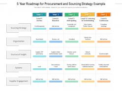 5 year roadmap for procurement and sourcing strategy example