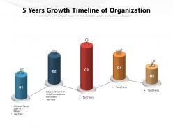 5 years growth timeline of organization