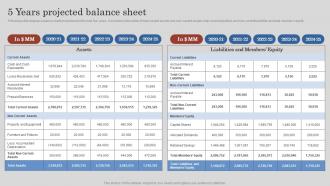 5 Years Projected Balance Sheet Project Feasibility Report Submission For Bank Loan