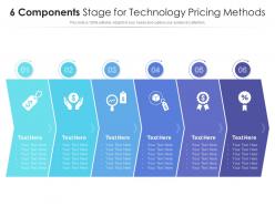 6 components stage for technology pricing methods infographic template