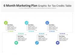 6 month marketing plan graphic for tax credits table infographic template