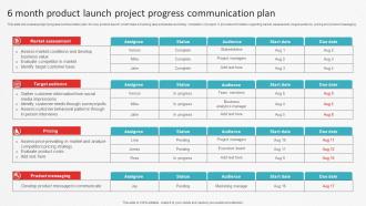 6 Month Product Launch Project Progress Communication Plan