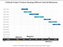 6 Month Project Timeline Showing Different Tasks And Milestones