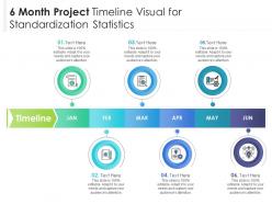 6 month project timeline visual for standardization statistics infographic template