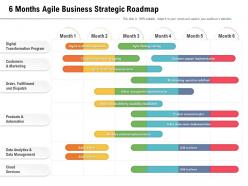 6 months agile business strategic roadmap