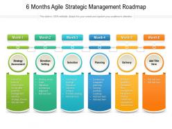 6 months agile strategic management roadmap