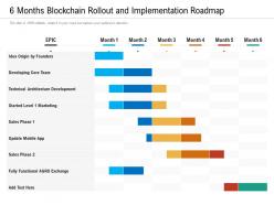 6 months blockchain rollout and implementation roadmap