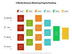 6 months business mentoring program roadmap