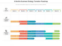 6 months business strategy transition roadmap