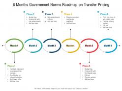 6 months government norms roadmap on transfer pricing