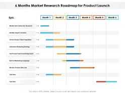 6 months market research roadmap for product launch
