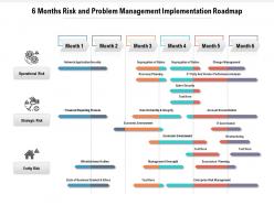 6 months risk and problem management implementation roadmap