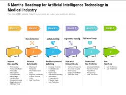 6 months roadmap for artificial intelligence technology in medical industry