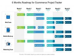 6 months roadmap for ecommerce project tracker