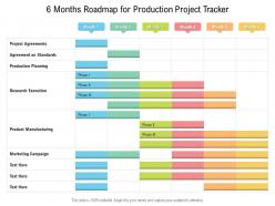 6 months roadmap for production project tracker
