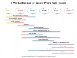 6 months roadmap for transfer pricing audit process