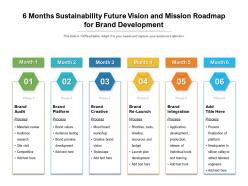 6 months sustainability future vision and mission roadmap for brand development
