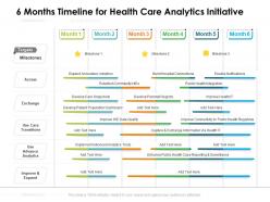 6 months timeline for health care analytics initiative