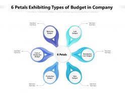 6 petals exhibiting types of budget in company