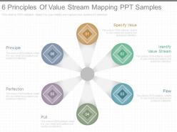 6 principles of value stream mapping ppt samples