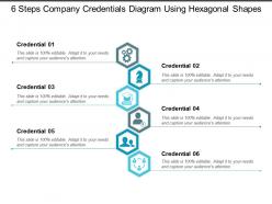 6 steps company credentials diagram using hexagonal shapes