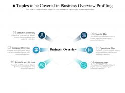 6 topics to be covered in business overview profiling