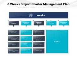 6 weeks project charter management plan