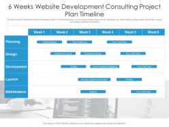 6 weeks website development consulting project plan timeline